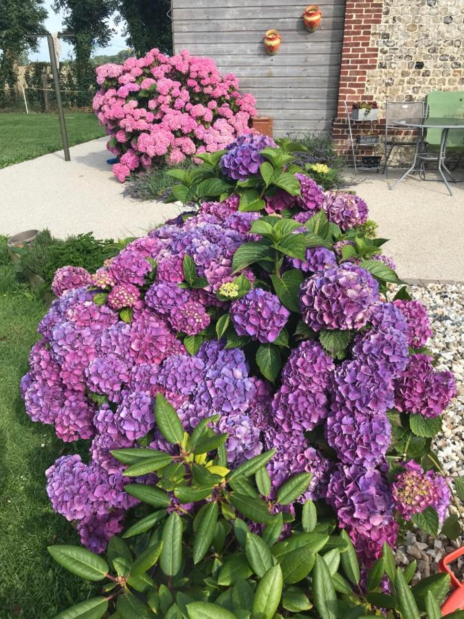La Grange Aux Hortensias Thiergeville Exterior foto